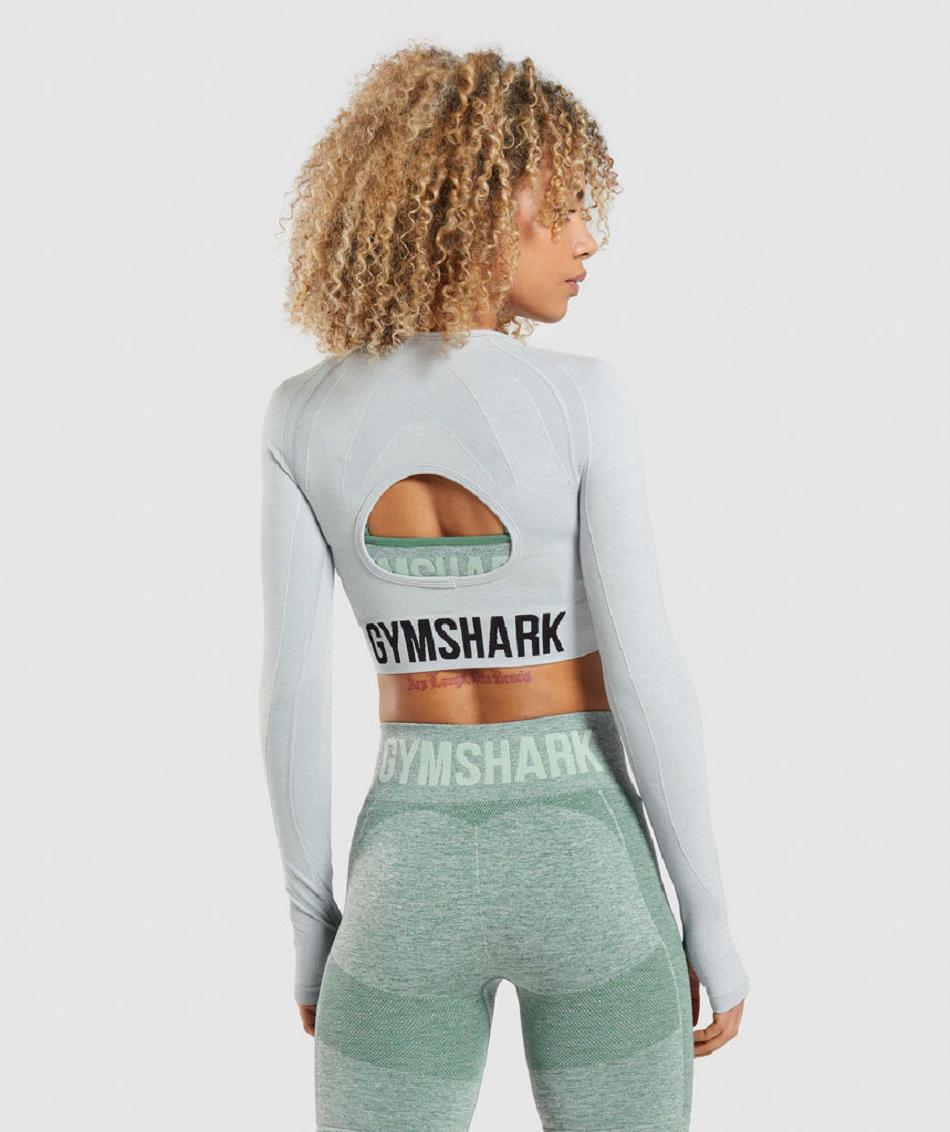 Gymshark Flex Sports Long Sleeve Ženske Ošišane Majice Svijetlo Sive | HR 3610PJJ